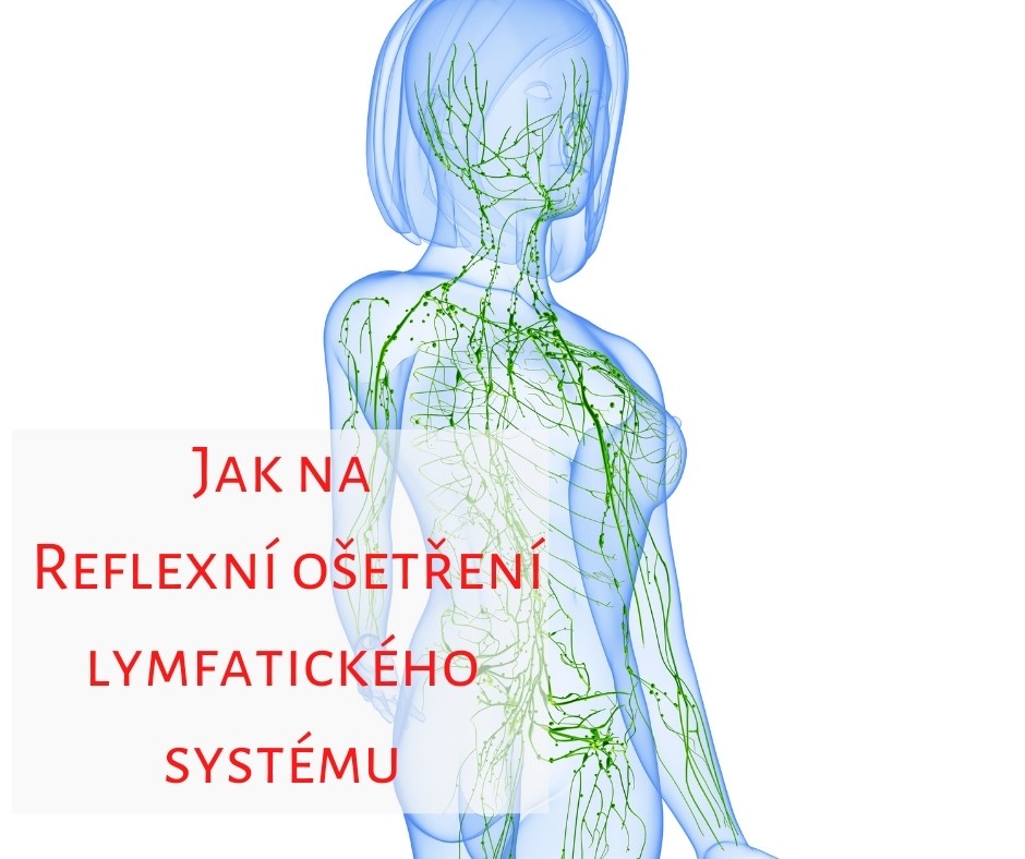 Lymfa6