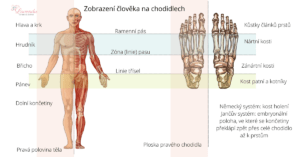 3 Zobrazení člověka Na Chodidlech