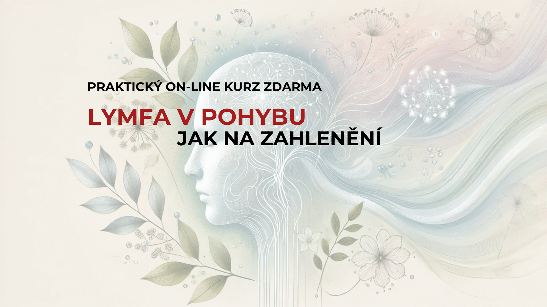 Kzk25 Lymfa V Pohybu Jak Na Zahlenění